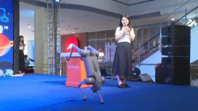 机器狗、空气炮.....武穴这场科普秀太有料→