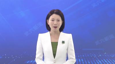 我市召开滨湖新区、水生态环境治理与生态旅游服务中心项目联合汇报及评审会