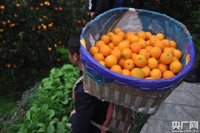 群众身边的“急难愁盼”，就没有解不开的结——看秭归如何用“指引”激活基层监督