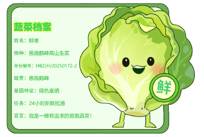 一棵恩施蔬菜，24小时狂飙1251公里……