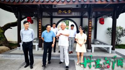 武穴实景拍摄！电影《丹墨向阳》今天开播，附观看链接→