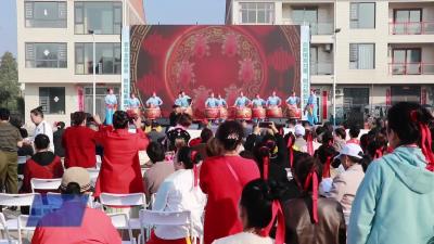 我市第十二届老年体育健身大会在龙坪镇举行