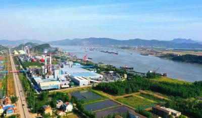 “墩苗”扎根+“滴灌”赋能！武穴干部“淬火”一线炼真金