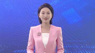 石佛寺镇：项目服务“加速度”打造营商环境“金名片”