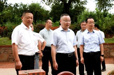 国庆假期第三天，查俊实地调研乡村振兴工作