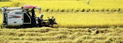 免费水电+暖心驿站！梅川镇这波操作圈粉农机手～