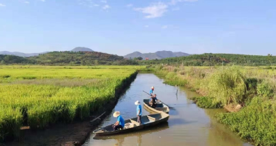 喜报！我市1人入选全国“十村百人千院”女主人典型案例