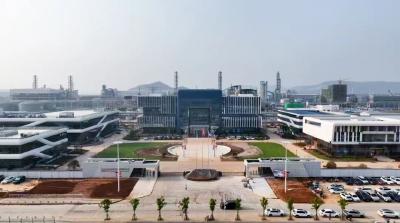 查俊到中化学新祥云新材料产业园现场办公