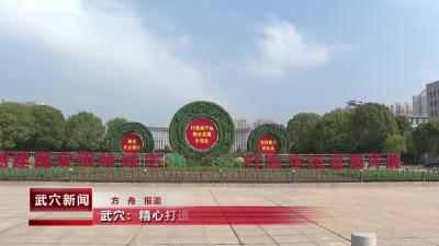 武穴：精心打造“金秋花海” 20万盆鲜花扮靓城市