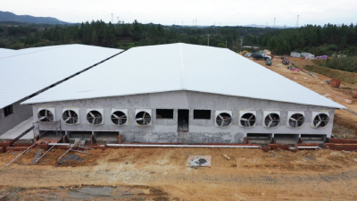 预计12月投产！梅川镇居善地生态农牧园项目建设顺利