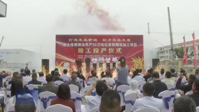 湖北伟博粮油 20 万吨优质稻精深加工项目投产