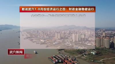 数说武穴1-8月份经济运行之四：财政金融稳健运行