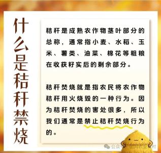 人人严防“一把火”，秸秆禁烧“护家园”