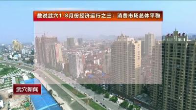 数说武穴1-8月份经济运行之三：消费市场总体平稳