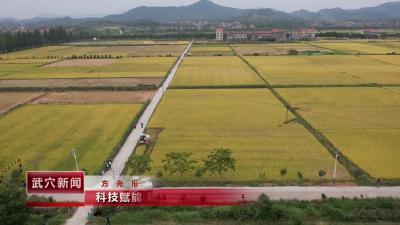 科技赋能 项目筑基 武穴现代农业迈上新台阶