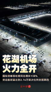 花湖机场“货”力全开！提前106天刷新这项纪录