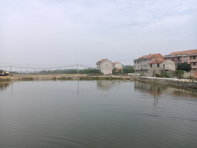 四望镇：巡察利剑出鞘 “问题清单”秒变“幸福账单”