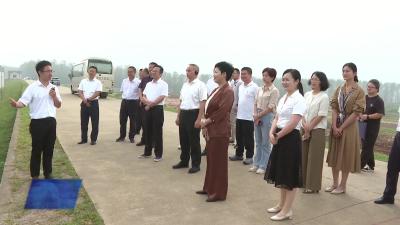 黄冈市乡镇（街道）履职事项清单运行暨岗位管理工作推进会在我市召开