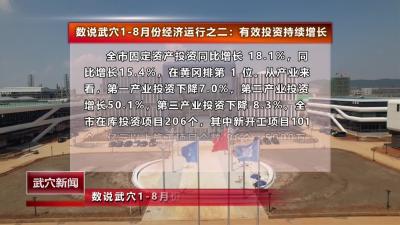 数说武穴1-8月份经济运行之二：有效投资持续增长