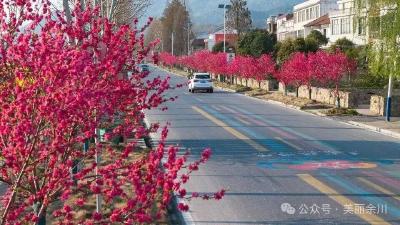 武穴这条“四季浪漫专线”：每帧都是壁纸，每段都有民生温度