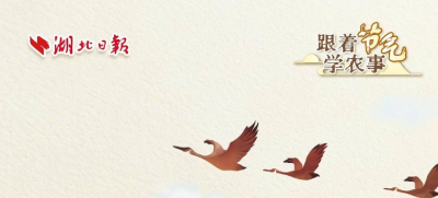 跟着节气学农事丨秋色可餐：舌尖上的寒露风物诗