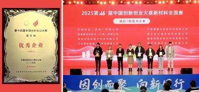 国赛夺奖！武穴企业打破日本技术垄断，国产材料高光登顶