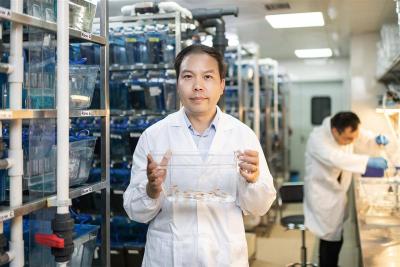 “鱼航员”打破太空生存纪录 为神舟二十一“太空鼠”出征铺垫实验基础