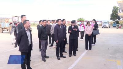 市政协督办重点提案 凝聚合力守护未成年人心理健康