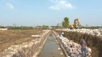 学习贯彻党的二十届四中全会精神丨泉塘社区：“旱改水”改出良田好“丰”景