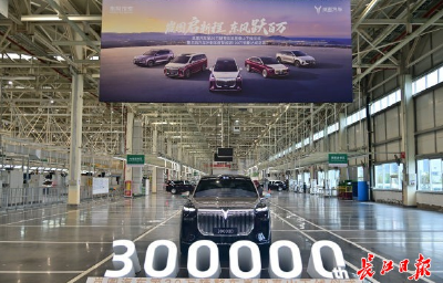 从“30万辆神龙”到“30万辆岚图”