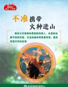 秋季天干物燥，这些森林防火知识要牢记→