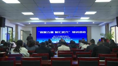 我市举行互联网行业培训交流活动