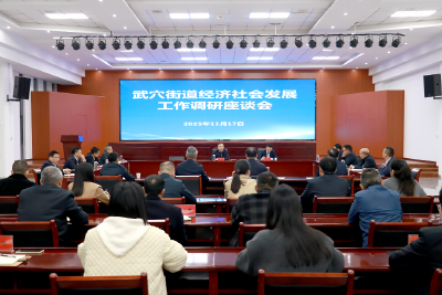 查俊到武穴街道调研