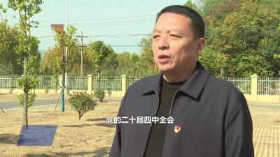 田家镇街道盘塘社区：党建引领强治理 实干笃行惠民生