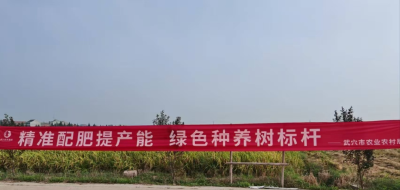 武穴梓秀新村有群土壤“营养师”