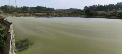 【归乡筑梦·武穴优资】大金镇优质资产项目招商