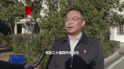 梅川镇：从 “人口大镇” 到 “产业强镇”  加快建设市域副中心