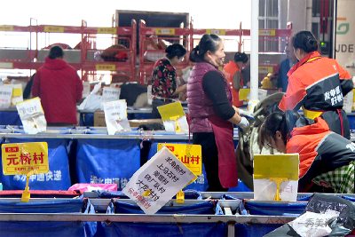 浠水“双十一”答卷：物流提速惠民生 农货出圈促振兴