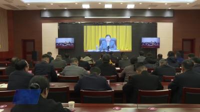 我市组织收听收看黄冈市森林防灭火暨松线虫病防治工作视频会