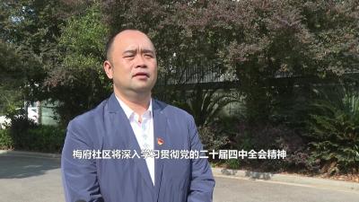 刊江街道梅府社区：深学细悟砺初心 实干担当促发展