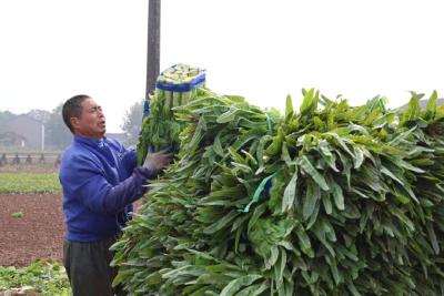 创造历史！宜昌一个亿元村的狂飙