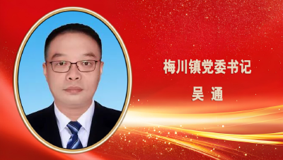 学习贯彻党的二十届四中全会精神·访谈丨市纪委监委机关、梅川镇、市卫生健康局