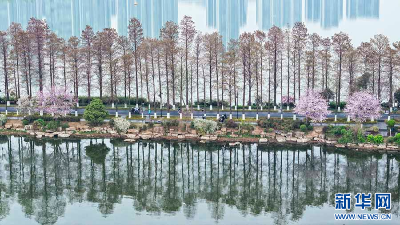 聚焦高质量发展｜武汉：“体育 +”赋能产业融合 激活高质量发展新引擎