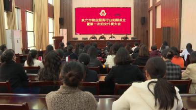 市物业服务行业妇联成立