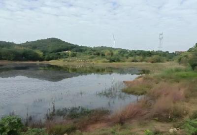 【归乡筑梦·武穴优资】2025年大法寺镇优质资产项目招商