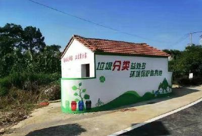 武穴市四望镇高垴村立行立改破解群众“如厕忧”