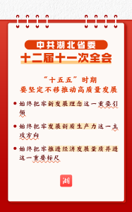 划重点丨未来五年，湖北工作重点定了