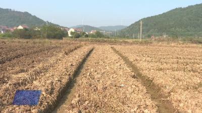 大法寺镇：筑牢“禁烧防线”  守护蓝天净土