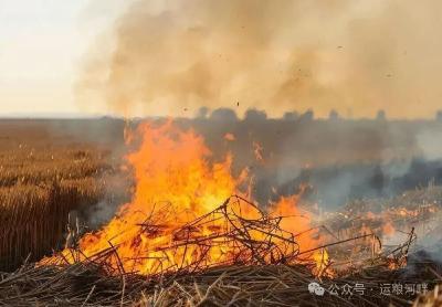 秸秆禁烧势在必行：保护环境，保障安全，一起行动！