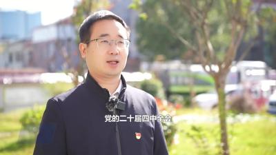 大金镇：锚定“双镇”目标 绘就高质量发展新画卷